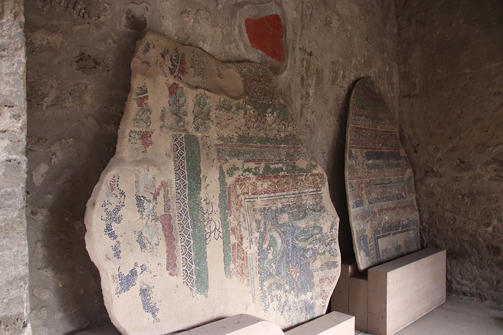 VII.7.5 Pompeii. October 2024. Room (n), looking towards east wall.
The mosaics leaning against the west wall do not come from this house but are from the nearby Suburban Baths near the Porta Marina.
Photo courtesy of Klaus Heese.