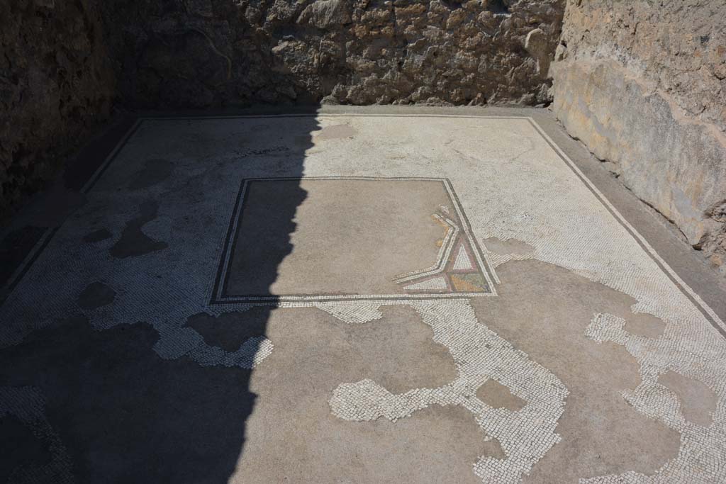 VII.7.5 Pompeii. September 2019. Room (d), looking west across detail of flooring.
Foto Annette Haug, ERC Grant 681269 DÉCOR.