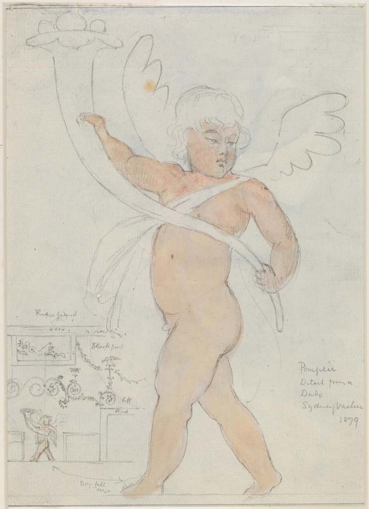 VII.7.5 Pompeii. 1879. Painting/drawing by Sydney Vacher described as Detail from a Dado.
The drawing, on the left, describes the middle of the wall as being red, with a black dado/zoccolo with cupid and red edged squares against the black zoccolo.
Photo © Victoria and Albert Museum, inventory number E.4414-1910.