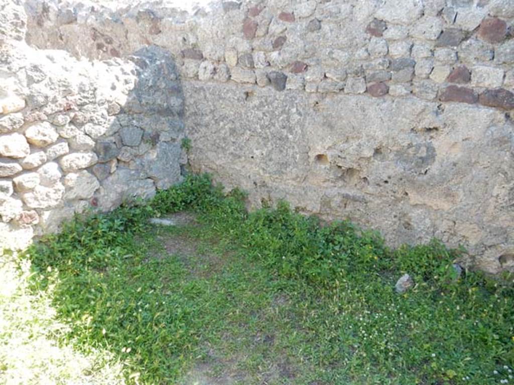 VII.7.10 Pompeii. May 2018. Oecus (m), south wall and south-west corner, and west wall.
Photo courtesy of Buzz Ferebee.