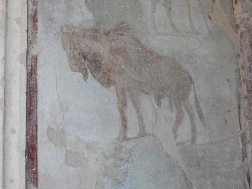 VII.7.10 Pompeii. May 2018. Peristyle, detail of animal on west wall. Photo courtesy of Buzz Ferebee.