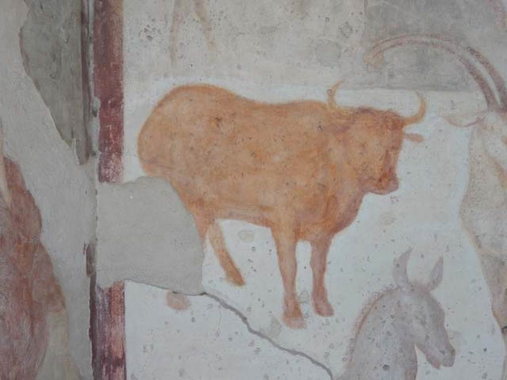 VII.7.10 Pompeii. May 2018. Peristyle, detail of animal on north wall. Photo courtesy of Buzz Ferebee.