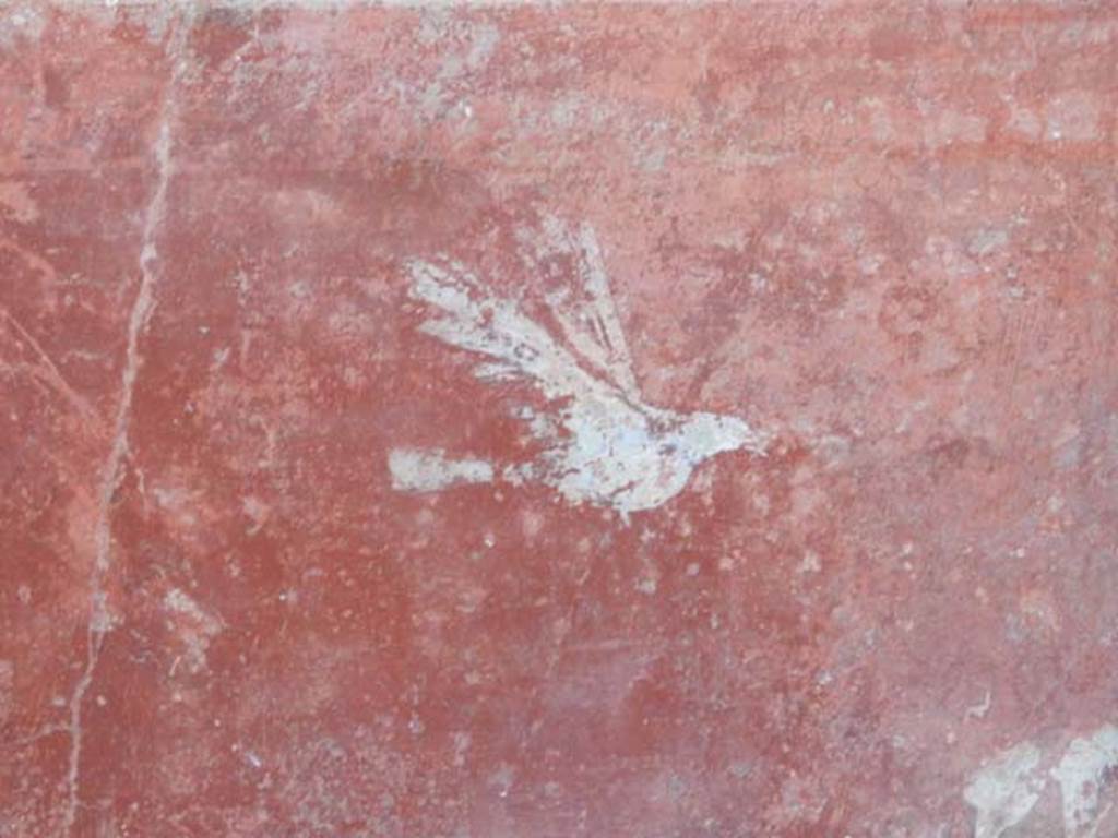 VII.7.10 Pompeii. May 2018. Peristyle, detail from north wall zoccolo. Photo courtesy of Buzz Ferebee.