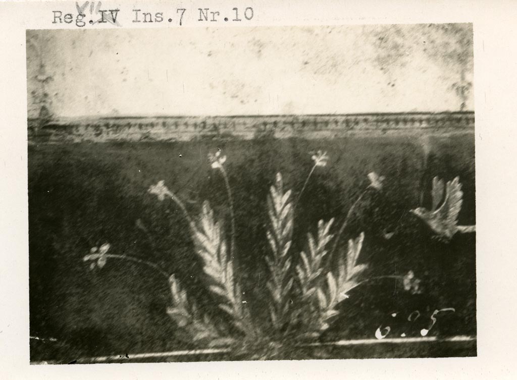 Mystery photo -
VII.7.10/13 Pompeii, according to Warsher. Pre-1937-39. Painted plant and bird on zoccolo.
Photo courtesy of American Academy in Rome, Photographic Archive. Warsher collection no. 695.
