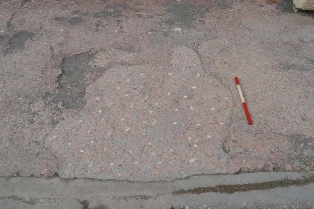 VII.7.32 Pompeii. March 2019. Detail of pavement on east side of entrance doorway.
Foto Taylor Lauritsen, ERC Grant 681269 DÉCOR.