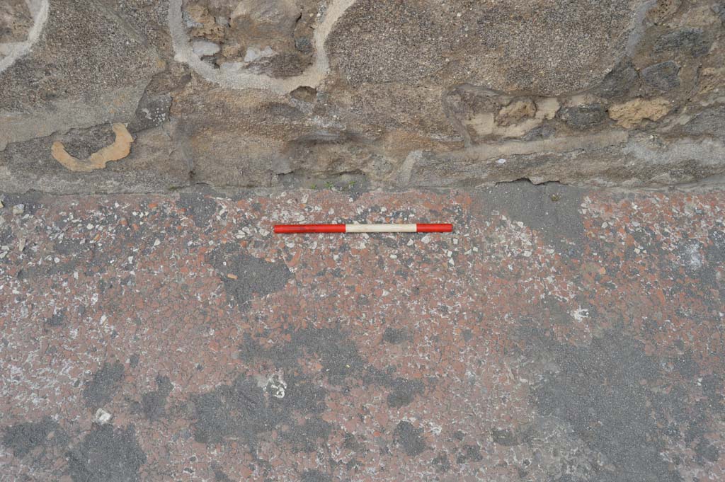 VII.7.32 Pompeii. March 2019. Detail from pavement on east side of entrance doorway.
Foto Taylor Lauritsen, ERC Grant 681269 DÉCOR.