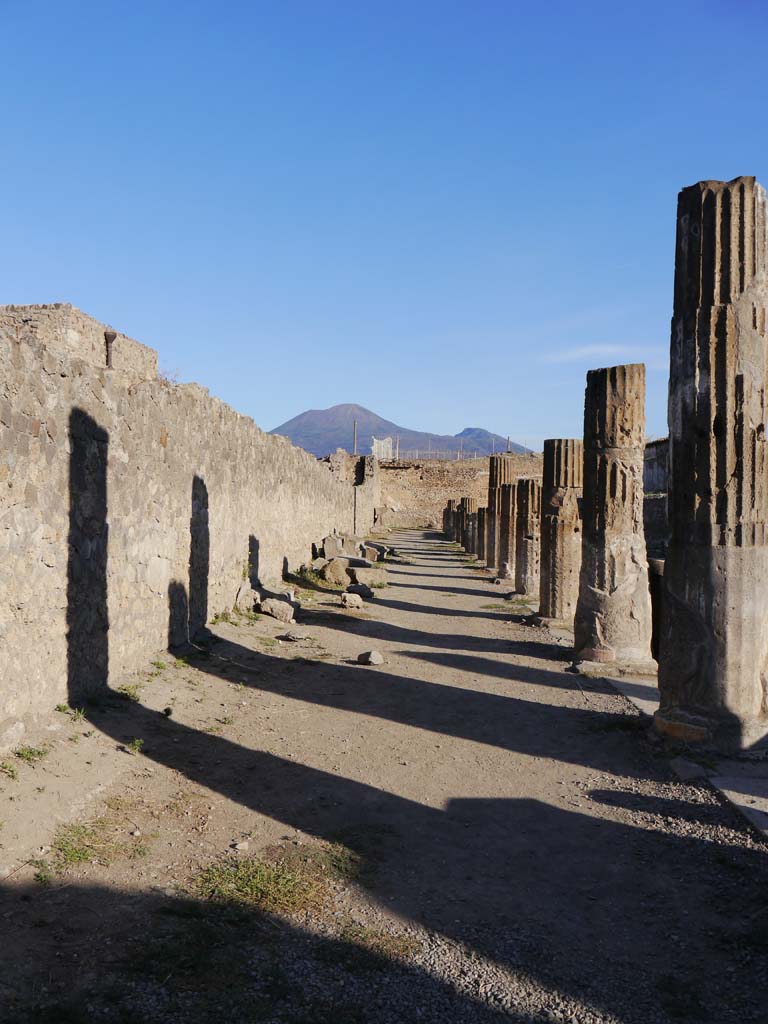 VII.7.32, Pompeii. September 2018. Looking north along west portico.
Foto Anne Kleineberg, ERC Grant 681269 DÉCOR.