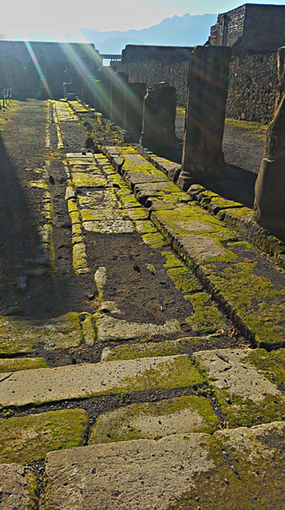 VII.7.32 Pompeii. December 2019.
Looking south along west portico. Photo courtesy of Giuseppe Ciaramella.