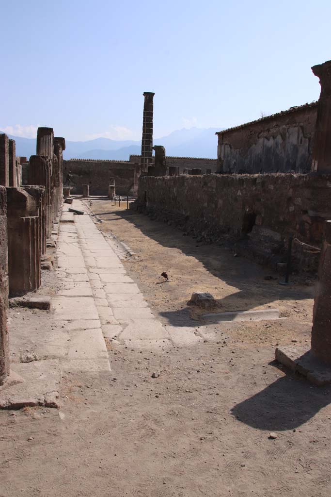 VII.7.32 Pompeii. September 2019. Looking south along east side of podium, from north-east corner of colonnade.
Photo courtesy of Klaus Heese.