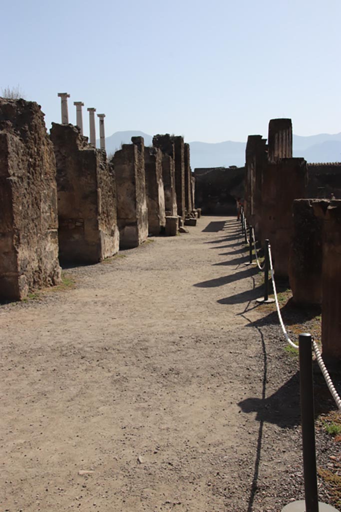 VII.7.32 Pompeii. October 2023.
Looking south along east portico. Photo courtesy of Klaus Heese.