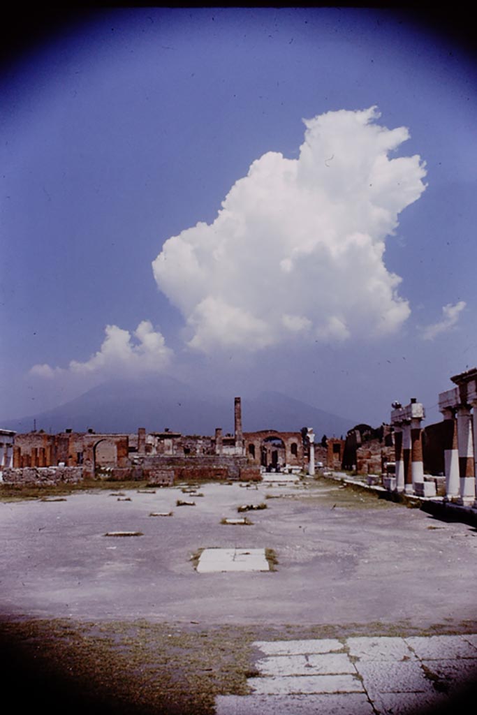 VII.8 Pompeii. 1964.
Looking north from south end of Forum. Photo by Stanley A. Jashemski.
Source: The Wilhelmina and Stanley A. Jashemski archive in the University of Maryland Library, Special Collections (See collection page) and made available under the Creative Commons Attribution-Non-Commercial License v.4. See Licence and use details.
J64f1277