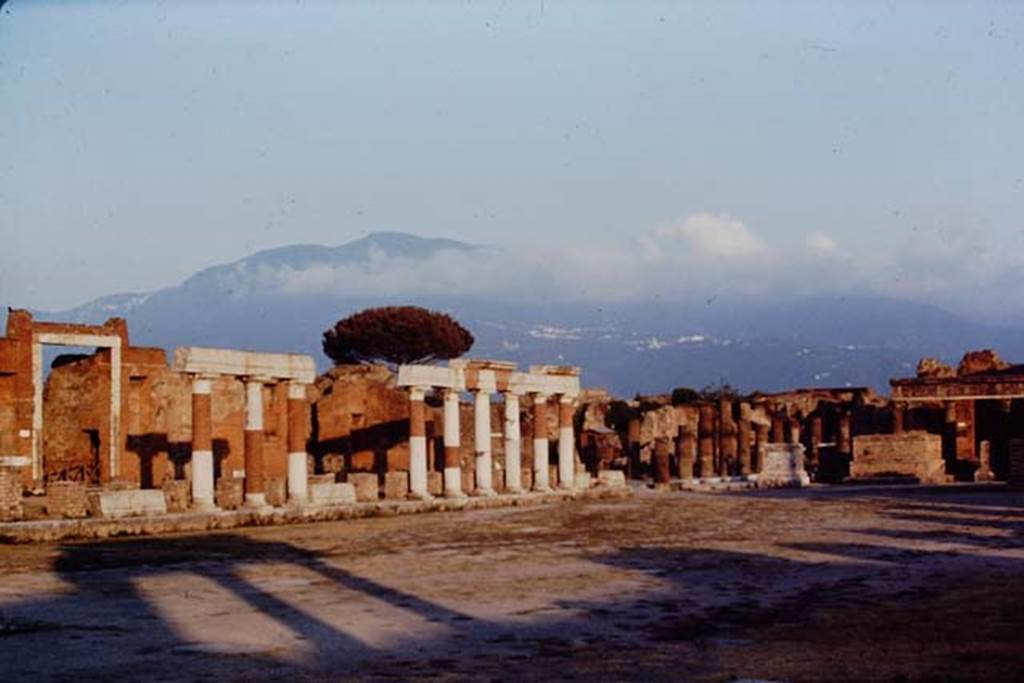 VII.8 Pompeii, 1968. Looking towards the south-east corner of the Forum. Photo by Stanley A. Jashemski.
Source: The Wilhelmina and Stanley A. Jashemski archive in the University of Maryland Library, Special Collections (See collection page) and made available under the Creative Commons Attribution-Non Commercial License v.4. See Licence and use details. J68f0737