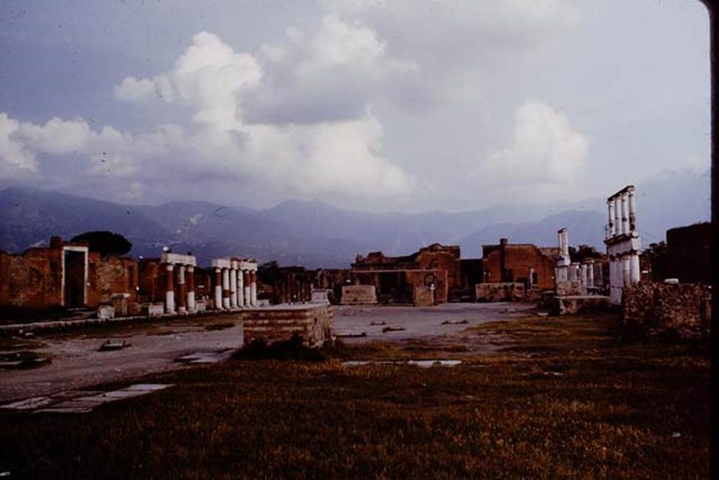 VII.8 Pompeii. 1964. Looking south. Photo by Stanley A. Jashemski.
Source: The Wilhelmina and Stanley A. Jashemski archive in the University of Maryland Library, Special Collections (See collection page) and made available under the Creative Commons Attribution-Non Commercial License v.4. See Licence and use details. J64f1386
