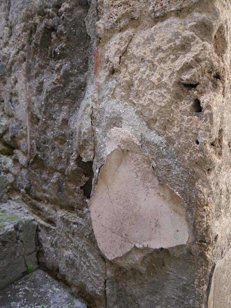 VII.8.01 Pompeii. March 2019. Remaining plaster on south wall at side of stairs.
Foto Anne Kleineberg, ERC Grant 681269 DÉCOR.
