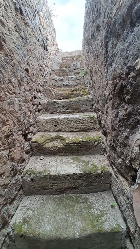 VII.8.1 Pompeii. August 2021. Stairs to upper floor.
Foto Annette Haug, ERC Grant 681269 DÉCOR.


