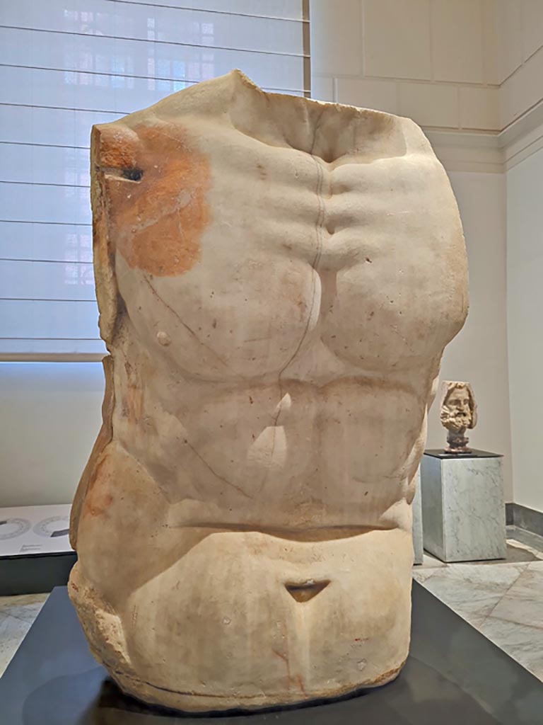 VII.8.1 Pompeii. April 2023. Detail of block of white marble reworked to create the torso of a colossal statue.
On display in “Campania Romana” gallery in Naples Archaeological Museum. Photo courtesy of Giuseppe Ciaramella.