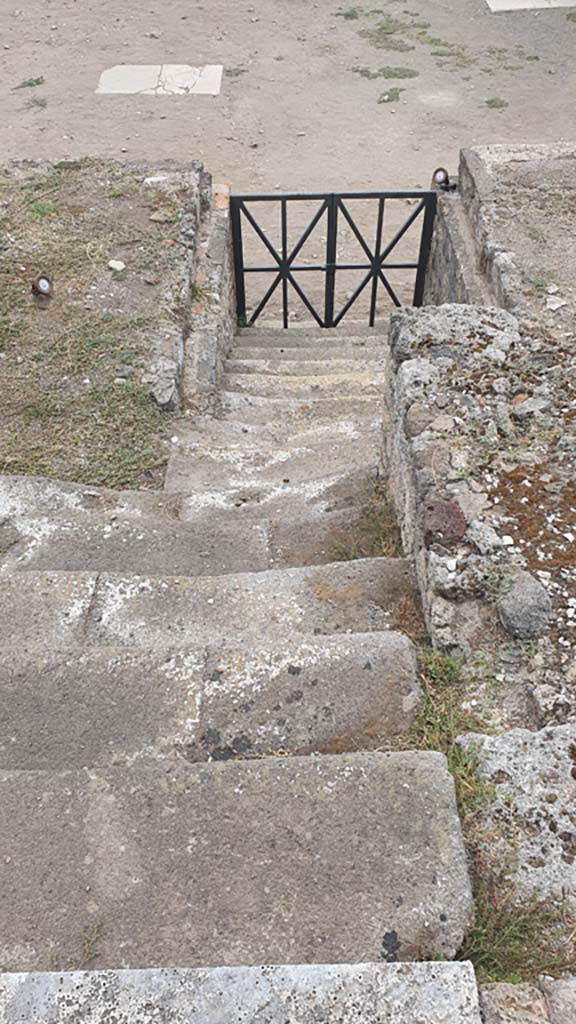 VII.8.1 Pompeii. August 2021. Looking down steps on west side.
Foto Annette Haug, ERC Grant 681269 DÉCOR.