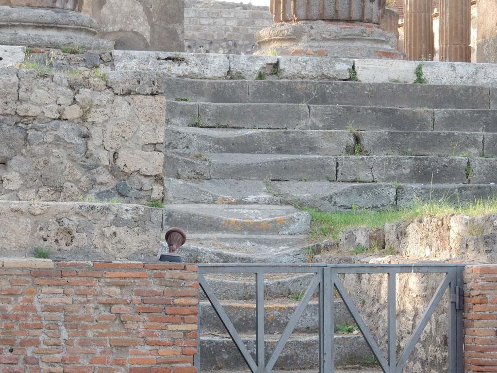 VII.8.1 Pompeii. June 2019. Looking north to well-worn steps on west side, leading up the podium.
Photo courtesy of Buzz Ferebee.