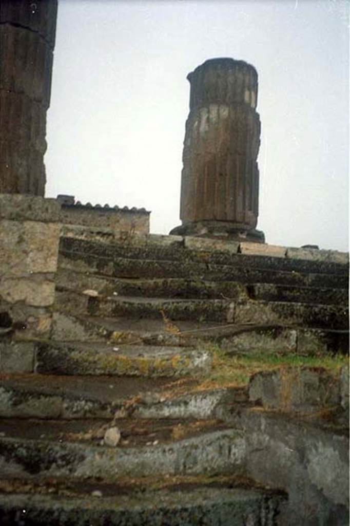 VII.8.1 Pompeii. July 2011.
Temple of Jupiter, steps leading up the podium on west side.
Photo courtesy of Rick Bauer.