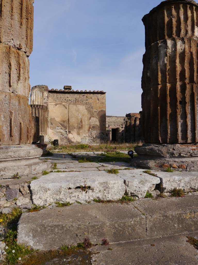 VII.8.01 Pompeii. March 2019. Looking north from top of steps on west side.
Foto Anne Kleineberg, ERC Grant 681269 DÉCOR.