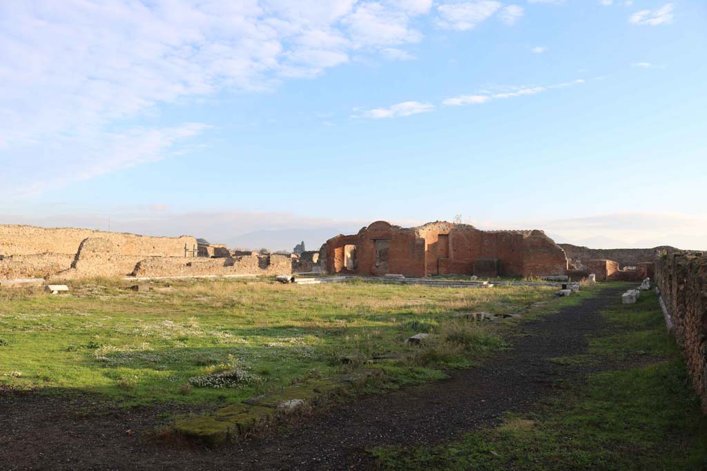 VII.9.1 Pompeii. December 2018. Looking north-east from south-west corner. Photo courtesy of Aude Durand.