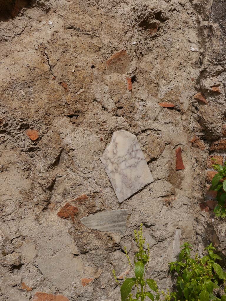 VII.9.2 Pompeii. March 2019. Detail in cella wall.
Foto Anne Kleineberg, ERC Grant 681269 DÉCOR.