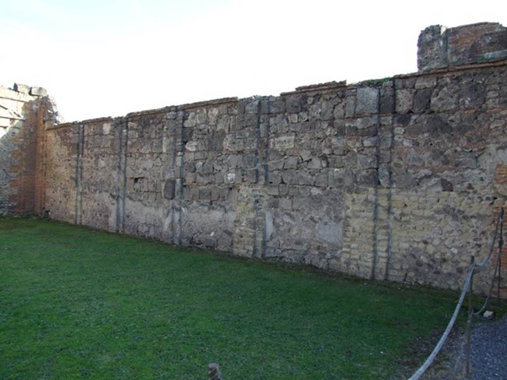 VII.9.2 Pompeii. December 2007. South wall. According to Mau, at the time of the eruption in 79AD the wall had only received a rough coat of stucco and was still awaiting completion. See Mau, A., 1907, translated by Kelsey F. W. Pompeii: Its Life and Art. New York: Macmillan. (Page 109).