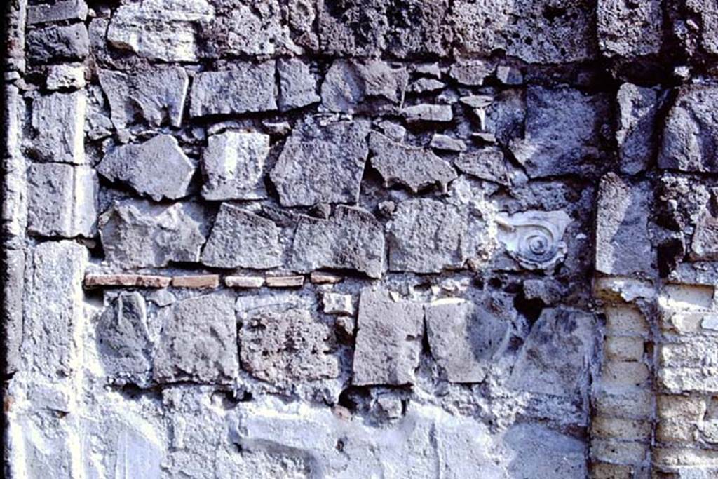 VII.9.2 Pompeii. 1966. South wall, detail from fourth panel from the left. Photo by Stanley A. Jashemski.
Source: The Wilhelmina and Stanley A. Jashemski archive in the University of Maryland Library, Special Collections (See collection page) and made available under the Creative Commons Attribution-Non Commercial License v.4. See Licence and use details.
J66f0245