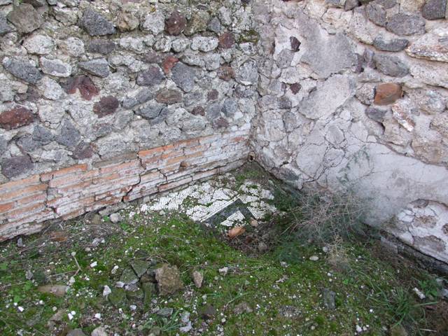 VII.16.15 Pompeii. December 2007. Room 9, floor mosaic in ala.