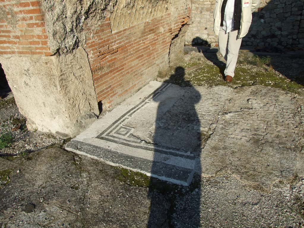 VII.16.15 Pompeii. Room 2, atrium from corner of Impluvium. Detail of mosaic showing Garum amphora with inscription
LIQUA(men) FLOS
SAP inventory number 15188.