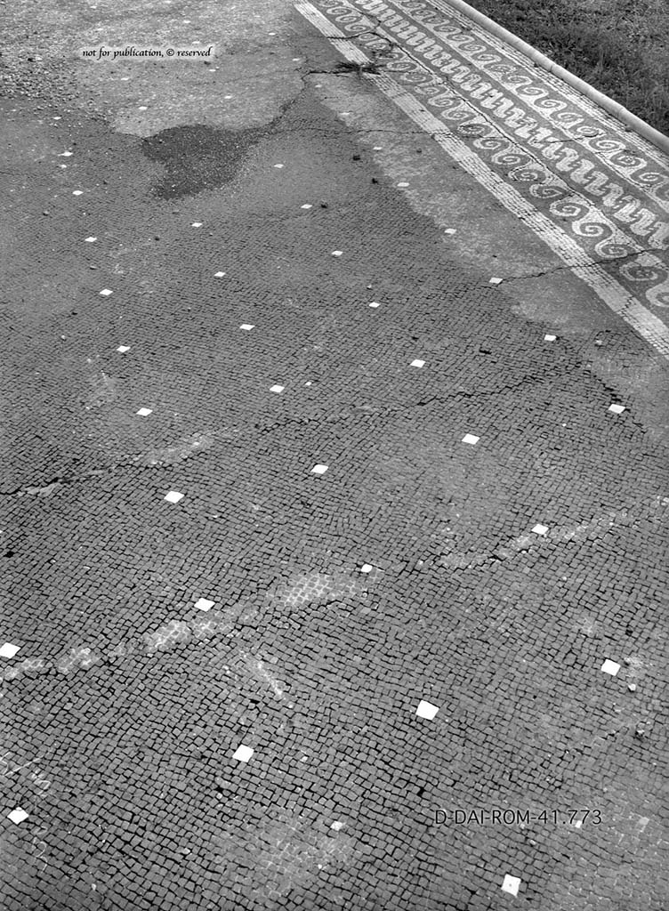 VII.16.22 Pompeii. c.1930. Mosaic flooring in atrium, and border of impluvium (top-right).
DAIR 41.773. Photo © Deutsches Archäologisches Institut, Abteilung Rom, Arkiv.
See Pernice, E. 1938. Pavimente und Figürliche Mosaiken: Die Hellenistische Kunst in Pompeji, Band VI. Berlin: de Gruyter, (p.115, and taf. 49.1 above).