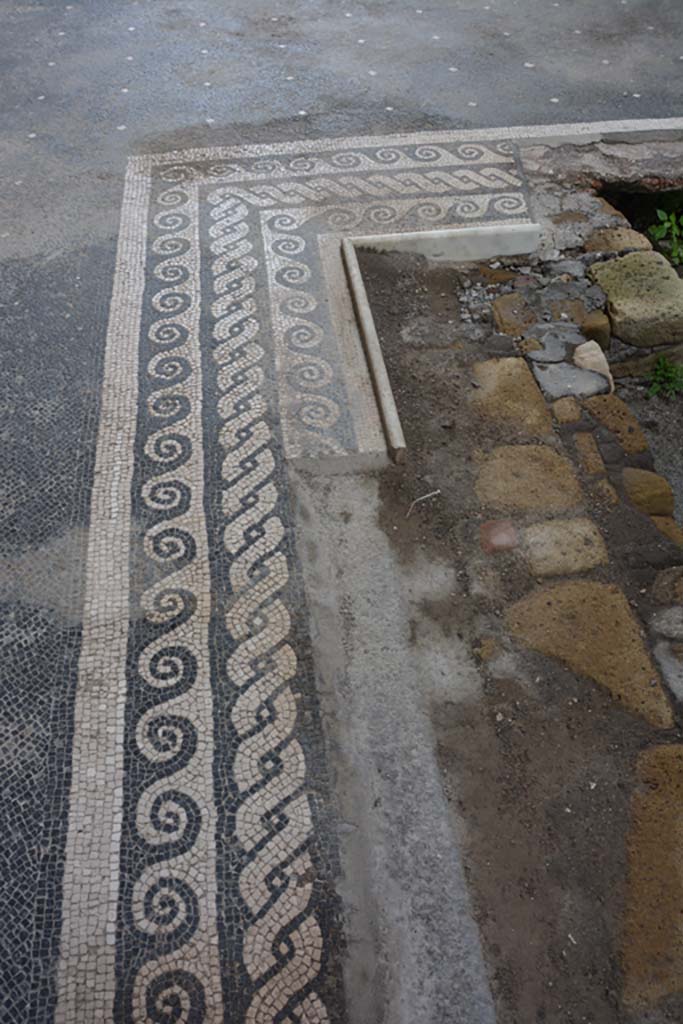VII.16.22 Pompeii. October 2018. Detail from north-east corner of impluvium in atrium.
Foto Annette Haug, ERC Grant 681269 DÉCOR.