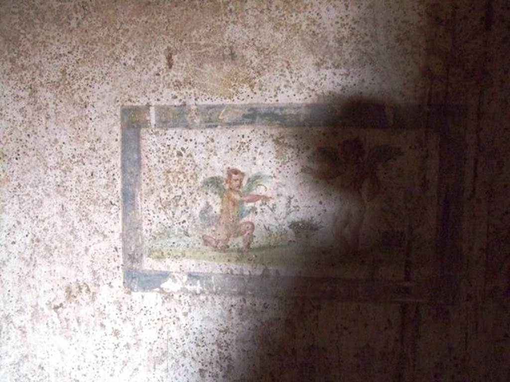 VII.16.17-22 Pompeii. December 2007. Detail of painted wall panel of cupids from centre of east wall.