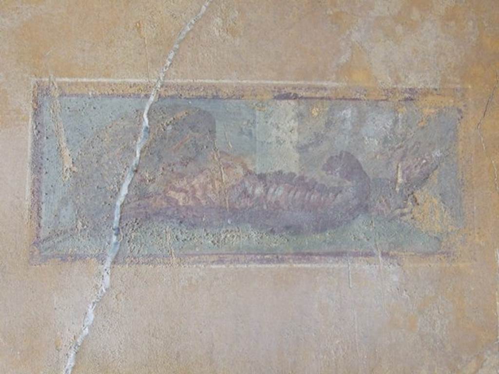 VII.16.17-22 Pompeii. December 2007. Cubiculum 53, detail of painted wall panel of lobster, from north wall of alcove.