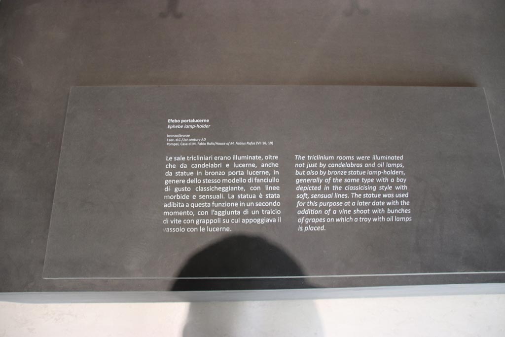 VII.16.17-22 Pompeii. October 2022. Display information card. Photo courtesy of Klaus Heese.