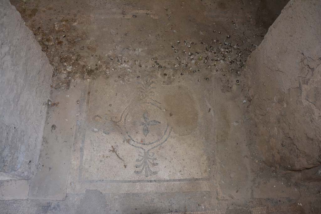 VII.16.22 Pompeii. October 2018. Mosaic doorway threshold, from the corridor 63 into the room 64.
Foto Annette Haug, ERC Grant 681269 DÉCOR.