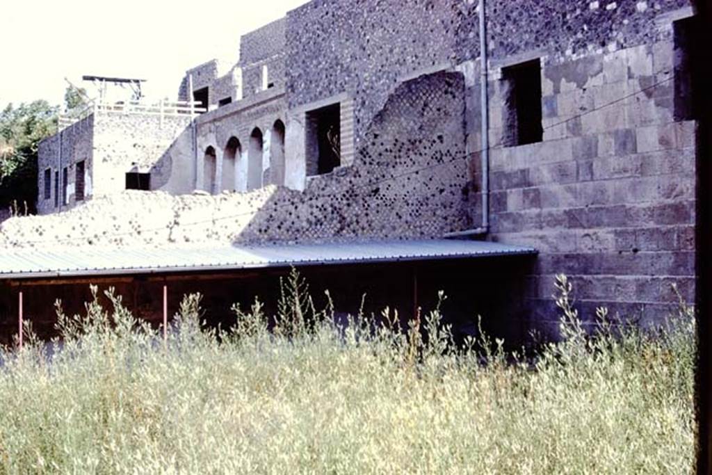 VII.16.17-22 Pompeii. 1972. Looking north across garden below window in west wall. Photo by Stanley A. Jashemski.
Source: The Wilhelmina and Stanley A. Jashemski archive in the University of Maryland Library, Special Collections (See collection page) and made available under the Creative Commons Attribution-Non Commercial License v.4. See Licence and use details. J72f0228