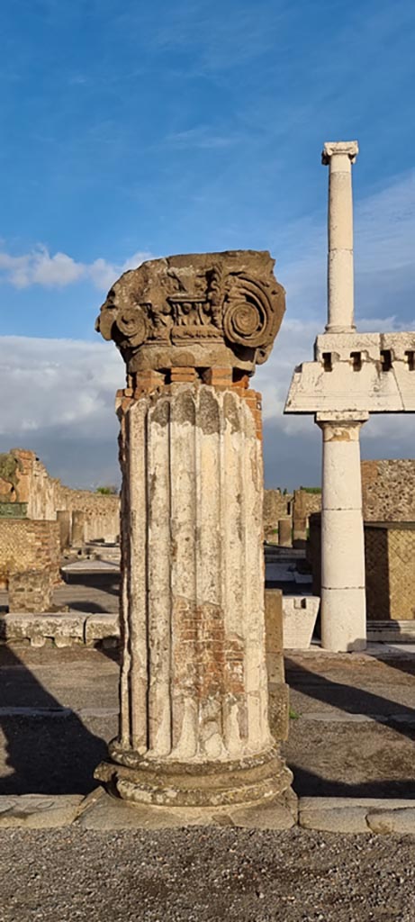 VIII.1.1 Pompeii. December 2023.
Column in Basilica, looking east towards Forum. Photo courtesy of Miriam Colomer.