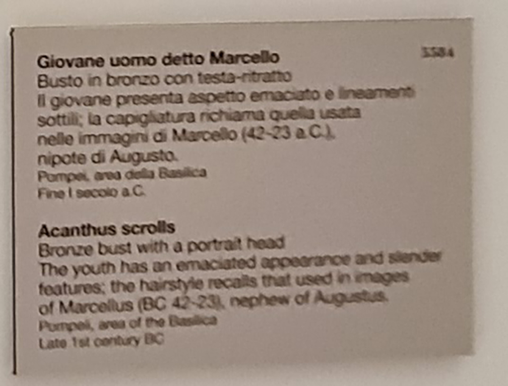 VIII.1.1 Pompeii. April 2023. Descriptive card for bronze bust of Marcellus. Photo courtesy of Giuseppe Ciaramella.
(Note: the English translation has a heading “Acanthus scrolls”, which should read “Young man said to be Marcellus”.)