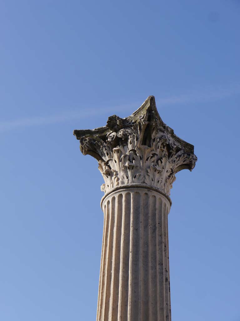 VIII.1.3 Pompeii. March 2019. Detail of Corinthian capital on top of column.
Foto Anne Kleineberg, ERC Grant 681269 DÉCOR.
