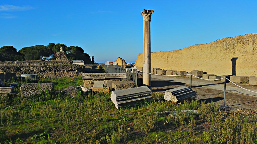 VIII.1.3 Pompeii. 2017/2018/2019.
Looking west along north side of Temple of Venus, with wall of Via Marina, on right. Photo courtesy of Giuseppe Ciaramella.