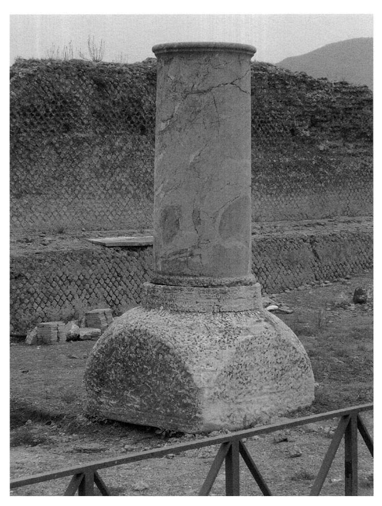 VIII.1.3 Pompeii. Unfinished column of Portasanta limestone for a votive offering, brought in and worked on after AD 62. 
The column shaft rests today on an unfinished column capital of Proconnesian marble.
Photo courtesy of M. Carroll.
See Carroll M., 2010. Exploring the sanctuary of Venus and its sacred grove: politics, cult and identity in Roman Pompeii. Papers of the British School at Rome 78, p.92 plate 24.
