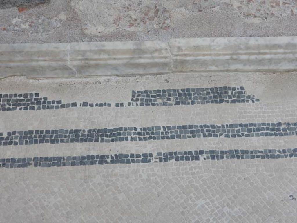 VIII.2.16 Pompeii. May 2017. Atrium flooring and edging. Photo courtesy of Buzz Ferebee.