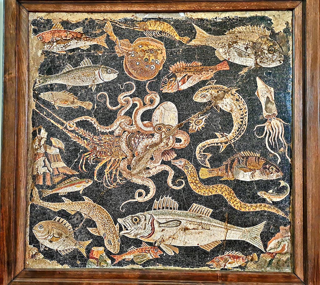VIII.2.16 Pompeii. Mosaic emblema from triclinium. Now in Naples Archaeological Museum, inv. no. 120177.
Photo courtesy of Giuseppe Ciaramella. September 2024.