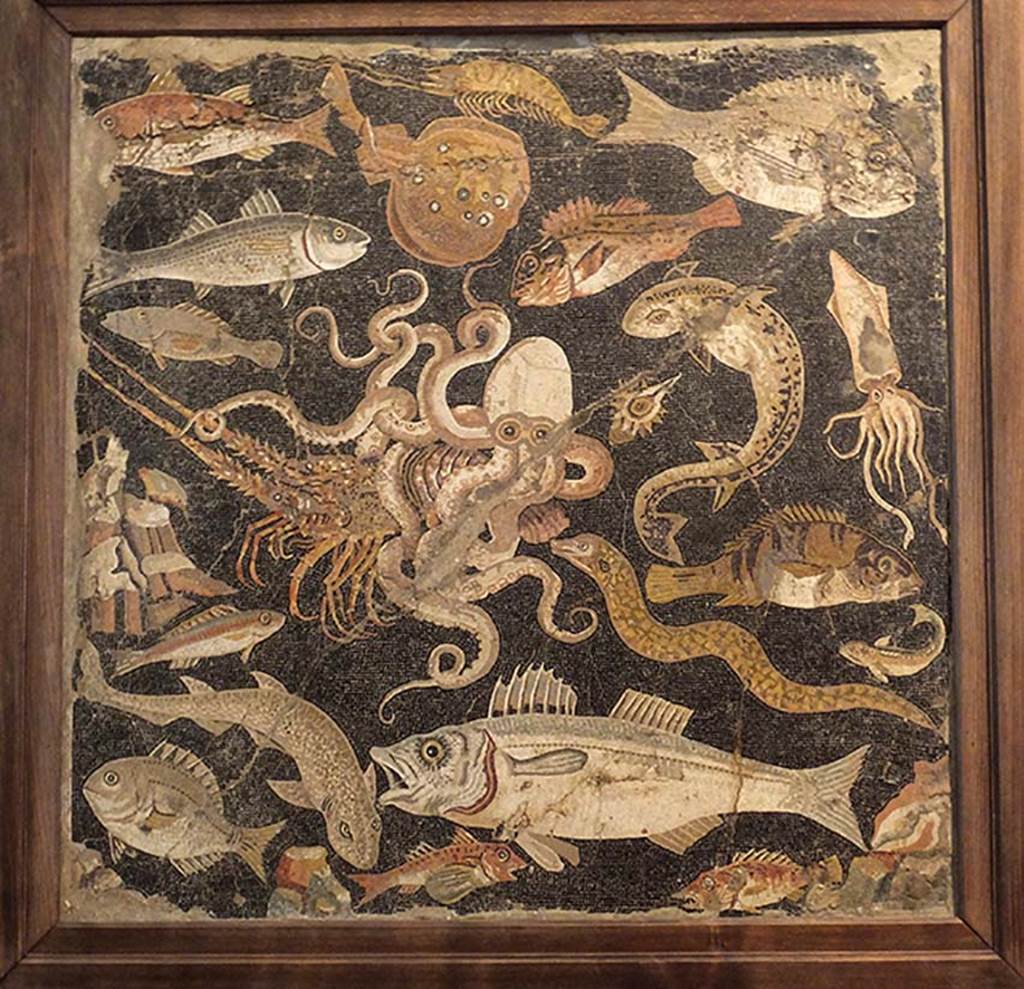 VIII.2.16 Pompeii.
Mosaic of Sea scene with octopus fighting a lobster, surrounded by other fish and molluscs, found in August 1890, in the shallow basin in the triclinium near the north portico. Now in Naples Archaeological Museum, Inventory number 120177.
