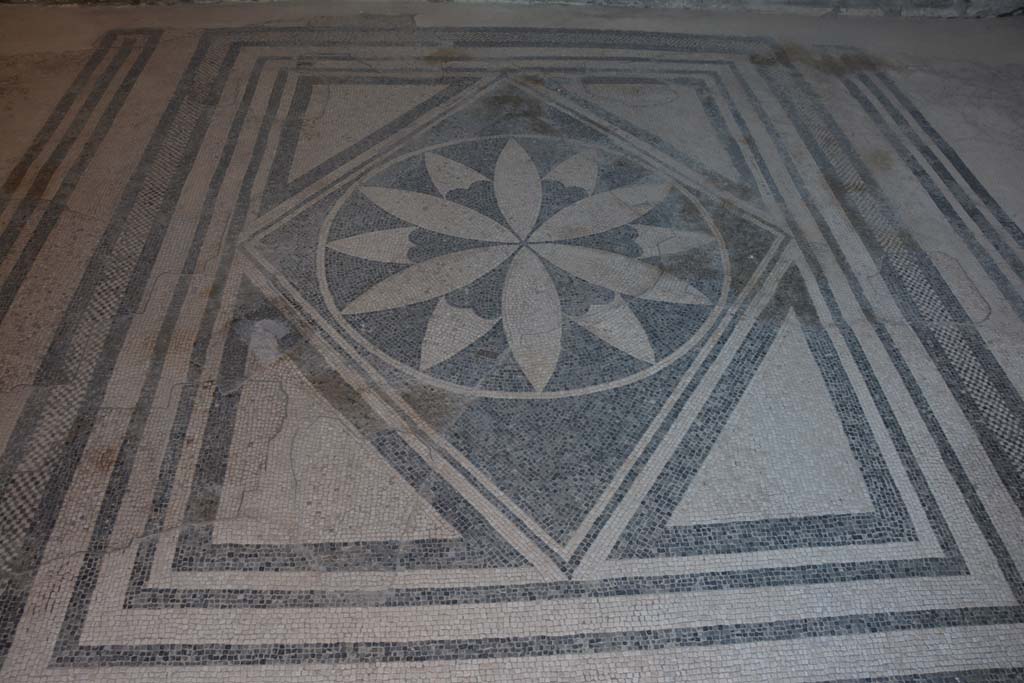 VIII.2.16 Pompeii. September 2019. Looking north across mosaic floor.
Foto Annette Haug, ERC Grant 681269 DÉCOR.