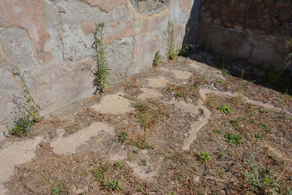 VIII.2.39 Pompeii. September 2019. Room f, detail of flooring near north wall.
Foto Annette Haug, ERC Grant 681269 DÉCOR
According to PPM –
“The flooring was in cocciopesto with a net of hexagons juxtaposed with a swastika in the centre; the marginal border consisted of scattered tesserae.”
See Carratelli, G. P., 1990-2003. Pompei: Pitture e Mosaici. Roma: Istituto della enciclopedia italiana, (no.11, p.316).