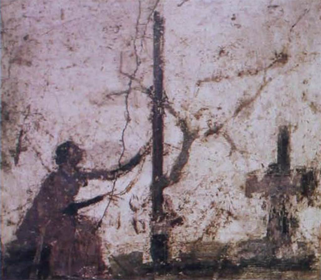 VIII.2.39 Pompeii. Room l on first lower floor. Painted panel from a cubiculum decorated in the Third style.
A female figure dressed in green and violet is seated near a tree grown near a column.
She is tying bandages around the latter and has at the side a table on which ritual objects rest.
Now in Naples Archaeological Museum. Inventory number 9858.
See Carratelli, G. P., 1990-2003. Pompei: Pitture e Mosaici. Vol. VIII. Roma: Istituto della enciclopedia italiana, p. 344-5.