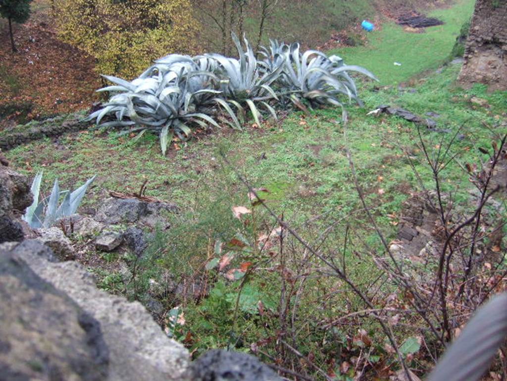 Terrace at rear of VIII.2.39 Pompeii. December 2005.