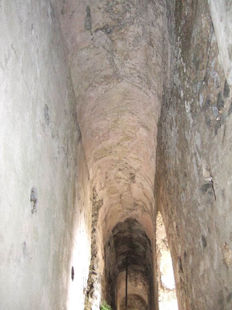 VIII.2.39 Pompeii. May 2006. Ceiling of Corridor b’ on First Lower level, looking east.